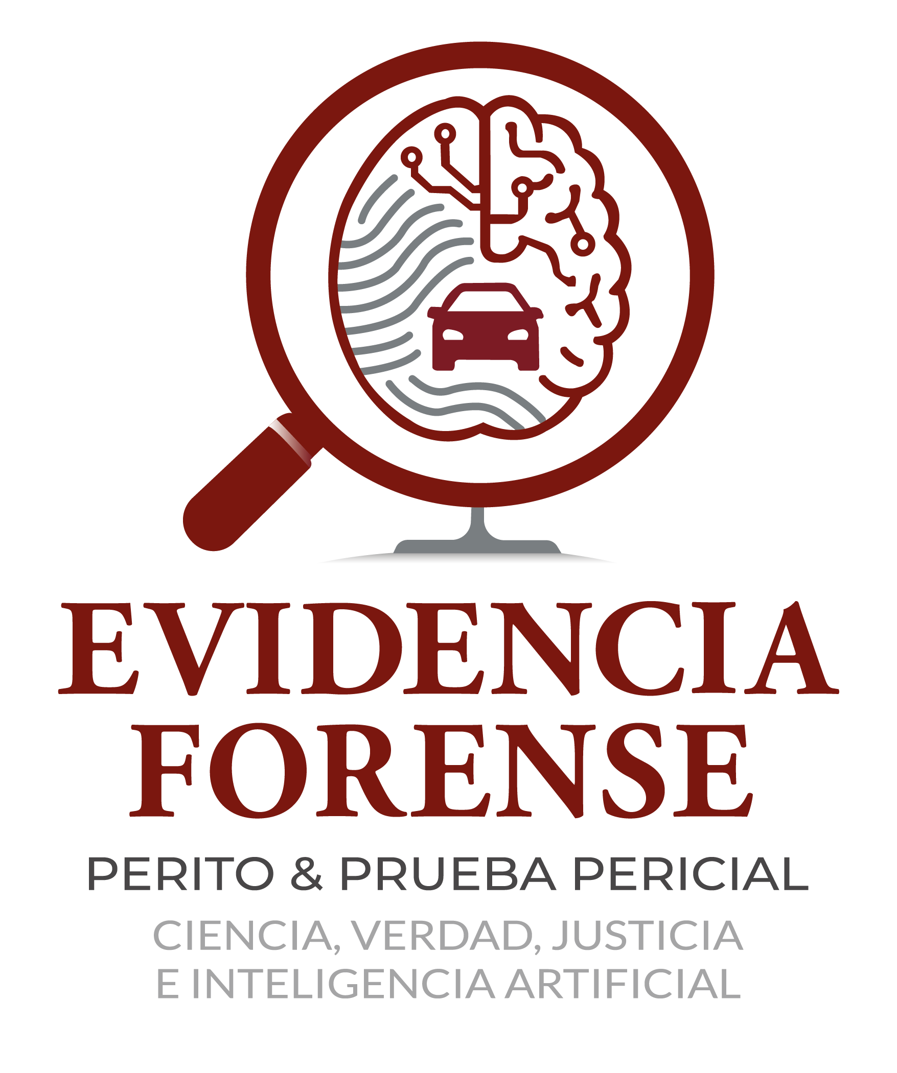 evidencia forence_Mesa de trabajo 1